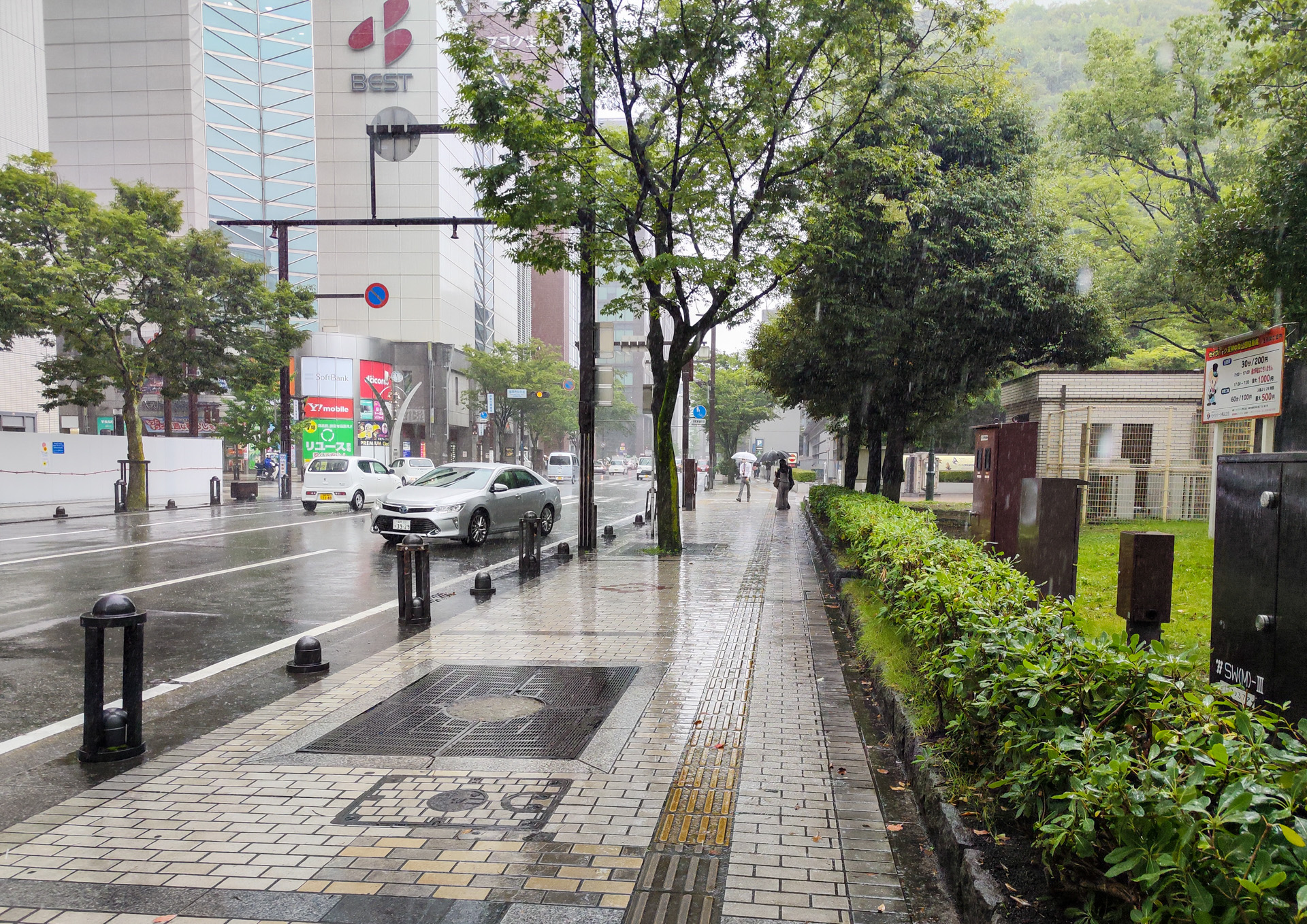 雨の天神中央公園周辺